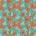 Orange lilies background Royalty Free Stock Photo