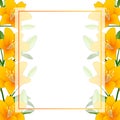 Orange Lilium candidum, the Madonna lily Banner Card Border on White Background. Vector Illustration Royalty Free Stock Photo