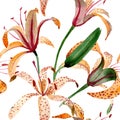 Orange lilium floral botanical flower. Watercolor background illustration set. Seamless background pattern.