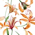 Orange lilium floral botanical flower. Watercolor background illustration set. Seamless background pattern.