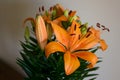 Orange lillies Royalty Free Stock Photo