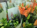 Orange lilly flowers Royalty Free Stock Photo