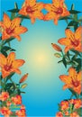 Orange lily frame on blue background