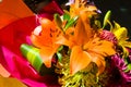Orange Lily& x27;s Royalty Free Stock Photo