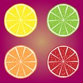 Orange, Lime, Limon, Grenadine Vitamin Vector