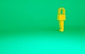 Orange Locked key icon isolated on green background. Minimalism concept. 3d illustration 3D render