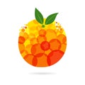 Orange fruit logo Royalty Free Stock Photo