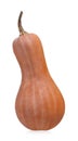 Orange long pumpkin Royalty Free Stock Photo