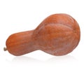 Orange long pumpkin Royalty Free Stock Photo