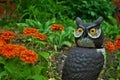 Orange Magellan zinnia flowers blooming in the garden next to a realistic owl scarecrow Royalty Free Stock Photo