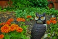 Orange Magellan zinnia flowers blooming in the garden next to a realistic owl scarecrow Royalty Free Stock Photo