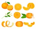 Orange Mandarin Fruit Unpeeled and Skinless with Segments Vector Set