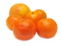 Orange, mandarin and grapefruit.