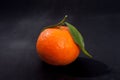 Orange mandarin on pure black background.