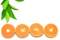 Orange mandarin or tangerine fruits, with green leaves on white background. Royalty Free Stock Photo