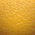 Orange or Mandarin Texture [01]