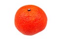 Orange mandarin