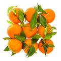 Orange mandarine with green leaves and water drops Royalty Free Stock Photo