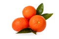 Orange mandarines, clementines, tangerines or small oranges with leaves