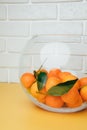 Orange mandarins clementine with green leaves in round clear vase on a white-yellow background