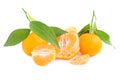 Orange mandarins with green leaves Royalty Free Stock Photo