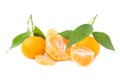Orange mandarins with green leaves Royalty Free Stock Photo