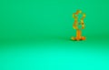 Orange Mannequin icon isolated on green background. Tailor dummy. Minimalism concept. 3d illustration 3D render