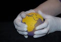 An orange with a map of the world drawn on it in women`s hands in rubber gloves Royalty Free Stock Photo