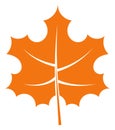 Orange maple leaf. Autumn sign. Fall tree symbol