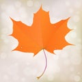 Orange maple leaf with bokeh blurry background. Autumn season. Vector eps10 illustration.