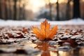 an orange maple leaf laying on the ground in the snow