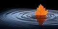 Orange Maple Leaf on Water Surface Creating Ripples in Calm Black Background Royalty Free Stock Photo