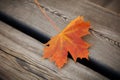 Orange maple leaf on a wooden bench. Close up Royalty Free Stock Photo