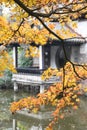 Orange maple leaves with Defocus Chinese ancient architecture background.