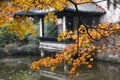 Orange maple leaves with Defocus Chinese ancient architecture background.