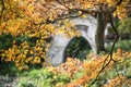 Orange maple leaves with Defocus Chinese ancient architecture background.