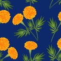 Orange Marigold on Indigo Blue Background. Vector Illustration