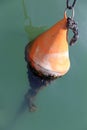 Orange Maritime Buoy Royalty Free Stock Photo