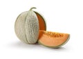 Orange Melon Cantaloupe 2