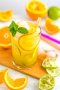 Orange Mojito Cocktail Royalty Free Stock Photo