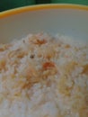 orange mold growing on stale rice in a plastic bowl