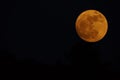 Orange moon dark skies copy space detail zoom Royalty Free Stock Photo