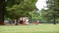 Orange Mound Park Playground, Memphis, TN