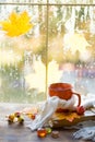 An orange mug in a scarf with hot tea, pumpkins, yellow dry maple leaves, a book on the windowsill, raindrops on the window -