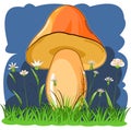 Orange mushroom on the background of a night flowering meadow. Cartoon flat style. Landskape Wildflowers and grass