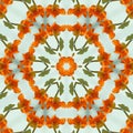 Orange Nasturtium Kaleidoscope