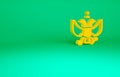 Orange National emblem of Russia icon isolated on green background. Russian coat of arms two-headed eagle. Minimalism Royalty Free Stock Photo