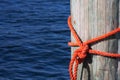 Orange Nautical Knot