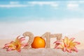 Orange instead number 0 in amount 2017, flowers against sea. Royalty Free Stock Photo