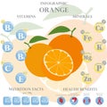 Orange nutrition facts and health benefits infographic Royalty Free Stock Photo